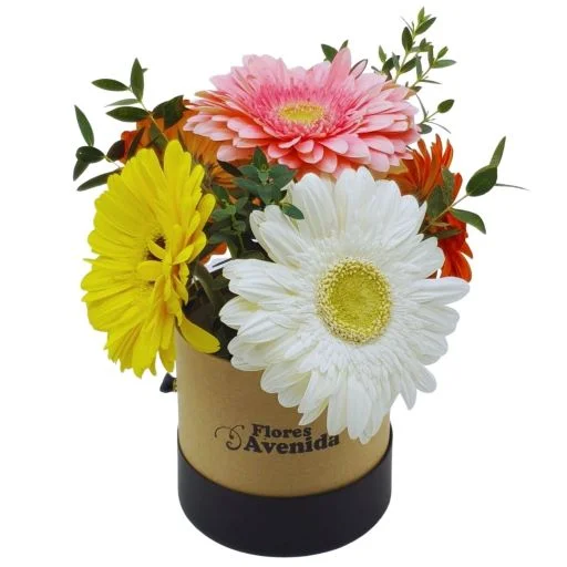 Caja pote con flores gerberas